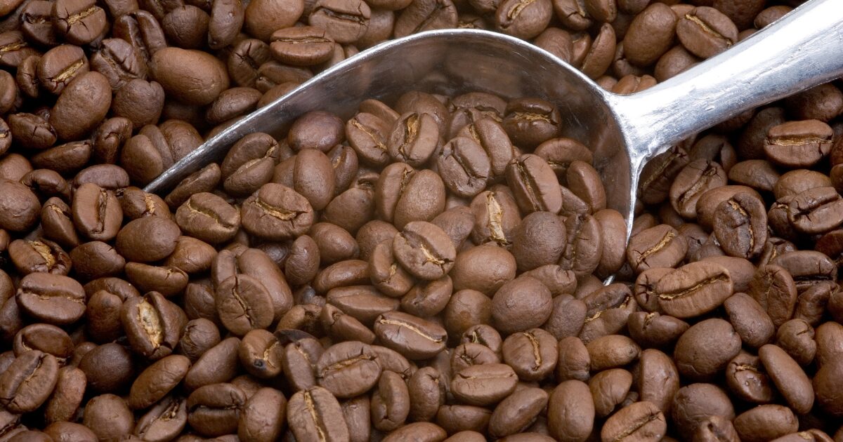 Graycanoドリッパー：スタイリッシュなデザインと実用性