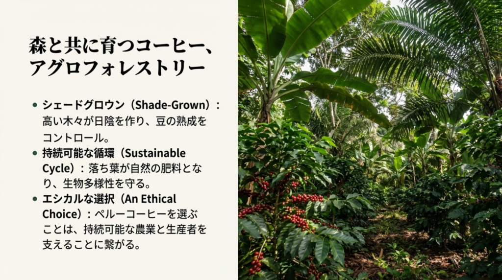 アグロフォレストリー(森林農法)