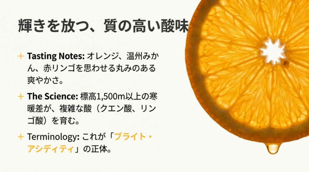 柑橘とリンゴの優しい酸味