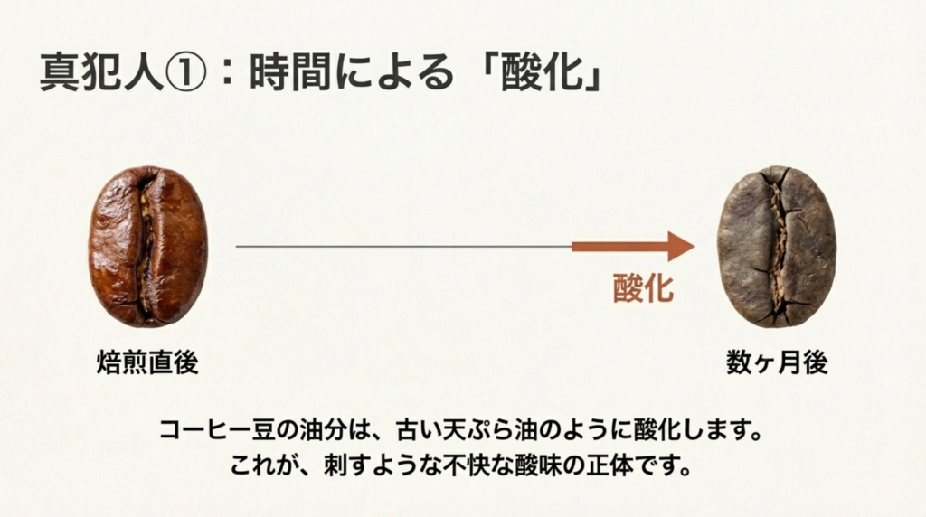 保存環境と流通の問題