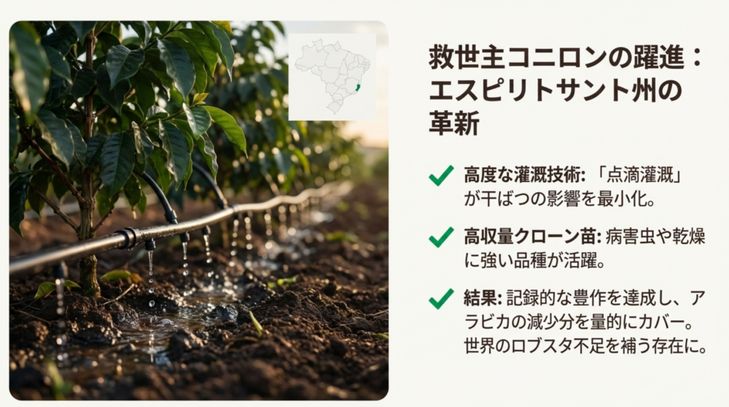 エスピリトサント州(Espírito Santo)